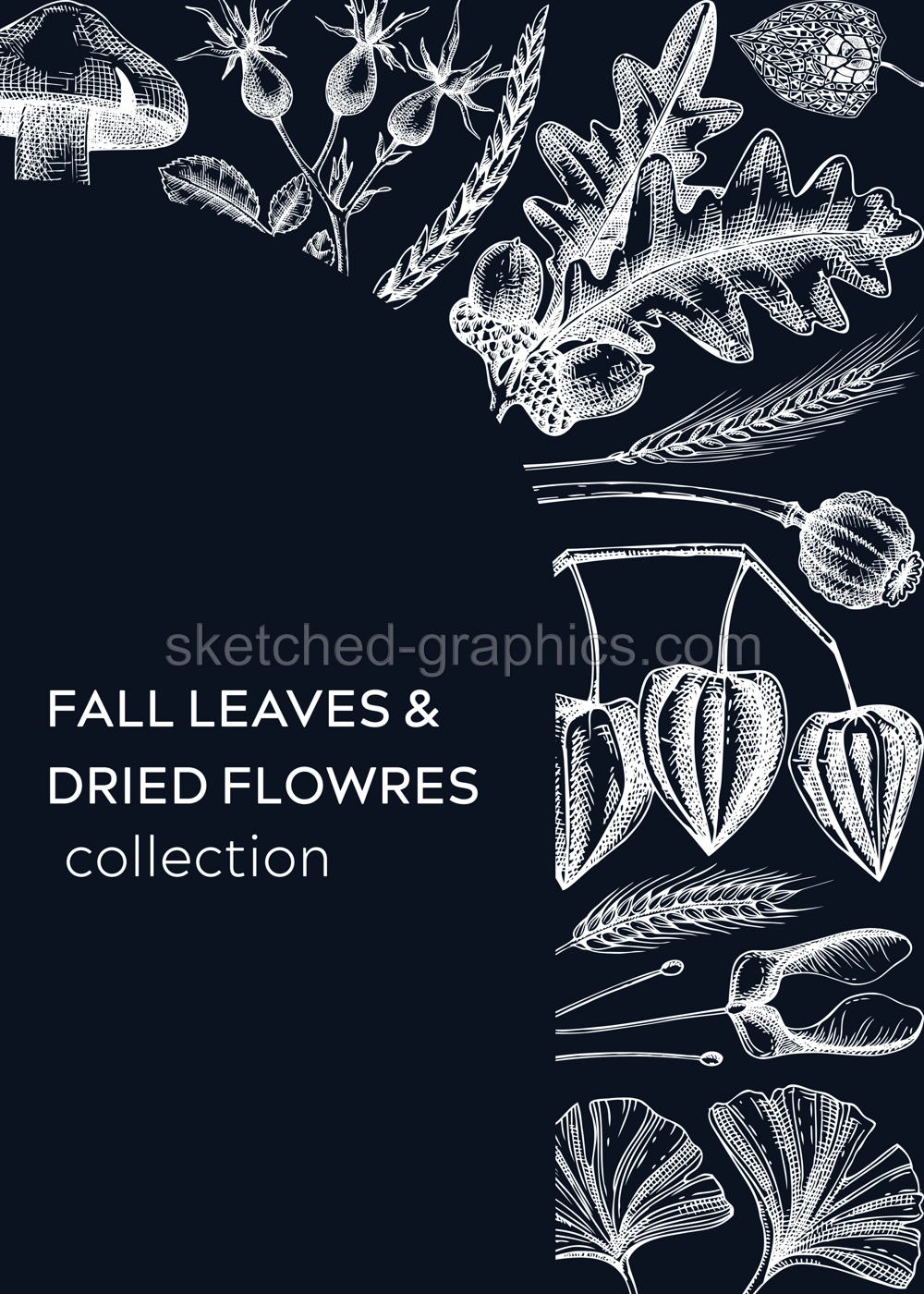 Autumn design with fall leaves and dried flowers. Thanksgiving background. Fall card or invitation. Sketched dried flowers, falling leaves, mushrooms, seeds frame. Botanical illustration on chalkboard Illustration